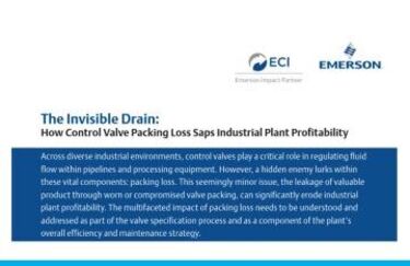 Invisible Drain: How Control Valve Packing Loss Saps Industrial Plant Profitability