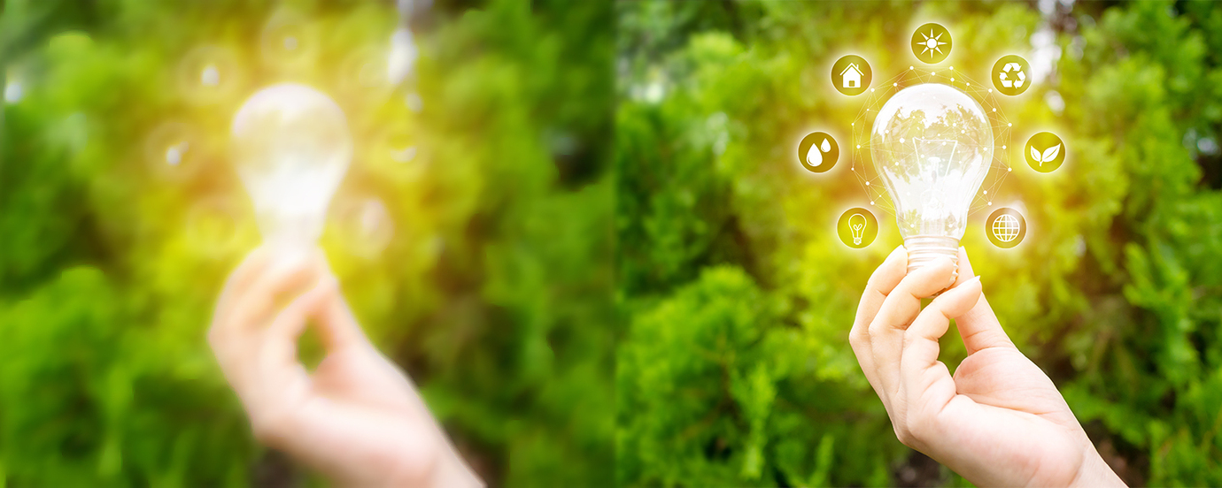 Environmental Stewardship