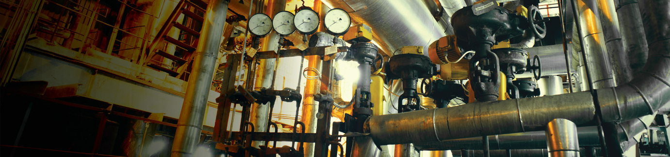 Unlock the Potential<br>of Your Steam System 